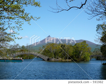 I hope for Komagatake from Onuma in Hokkaido 591982