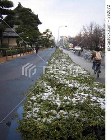 Higashi Honganse temple where thin snow piled up 592072