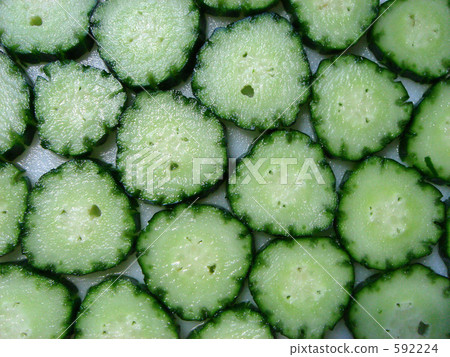 黃瓜斜線 黃瓜斜線 592224