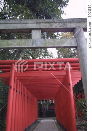 鳥居 鳥居門 神殿 592839