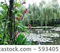 Japanese garden of Monet's house 593405