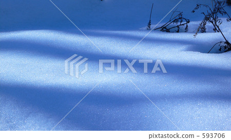 藍色的雪 593706