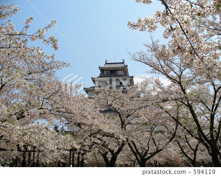 tsuruga-jo castle, castle, castles 594119
