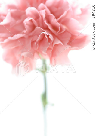 Soft Soft 594810