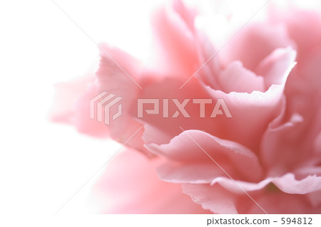 Soft 594812