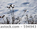 withered grass, snow scene, fallen snow 594943
