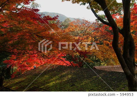 Autumn leaves and moss roof of Kyoto · Jikosa temple Autumn leaves and moss roof of Kyoto · Jikosa temple 594953