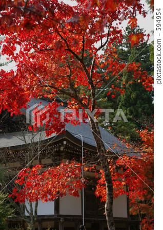 Autumn leaves in Kyoto · Hinode-in temple Autumn leaves in Kyoto · Hinode-in temple 594954