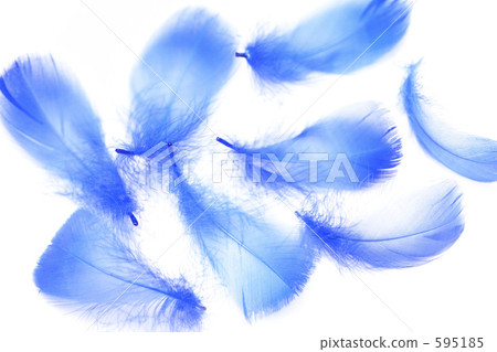 羽毛 羽毛 595185