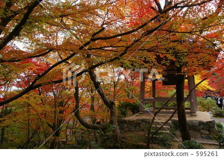 Kyoto · Joshimitsuji Temple -4 Kyoto · Joshimitsuji Temple -4 595261