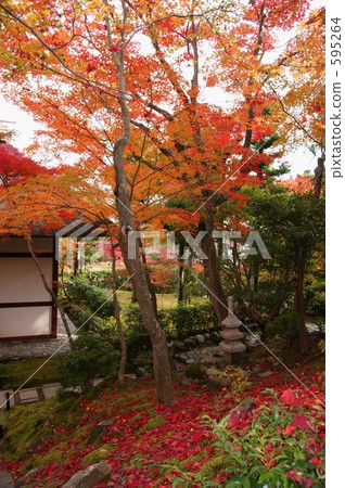 Kyoto · Junko Temple-2 Kyoto · Junko Temple-2 595264