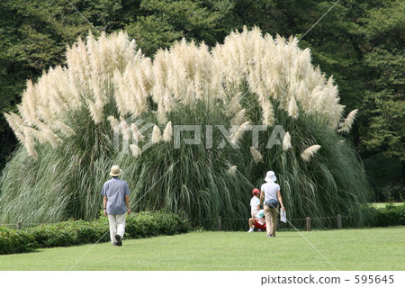 jindai botanical garden, park, parks 595645