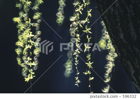 早春筆記1 596332