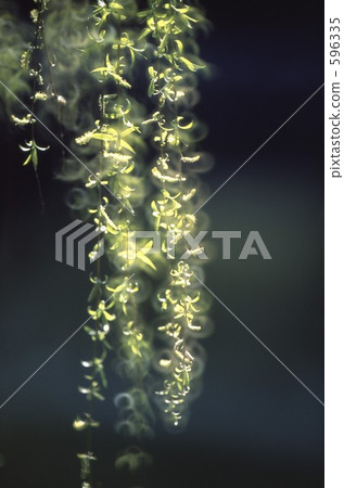 早春筆記2 596335