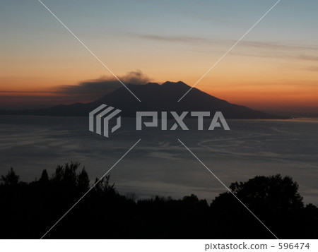 櫻花在黃昏 596474