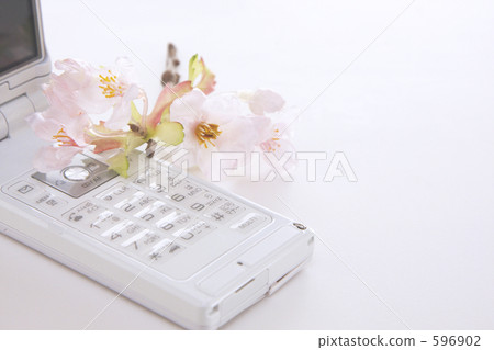 Sakura and Mobile 596902