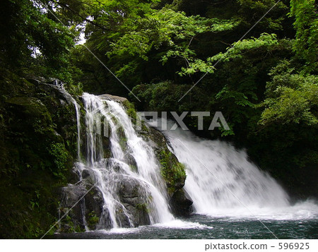 Roaring Roaring 596925