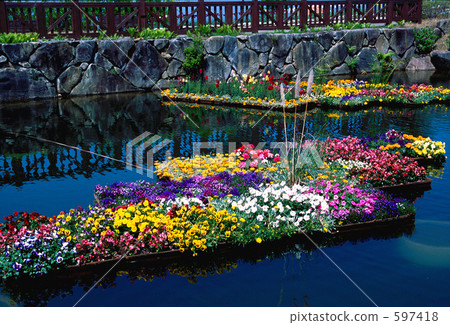 漂浮在水面上的花壇 漂浮在水面上的花壇 597418