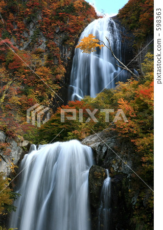 Fall fall of autumn 598363