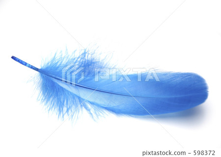 藍羽 照片素材 圖片 5972 圖庫