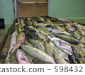 fall salmon, unloading, Marine Product 598432