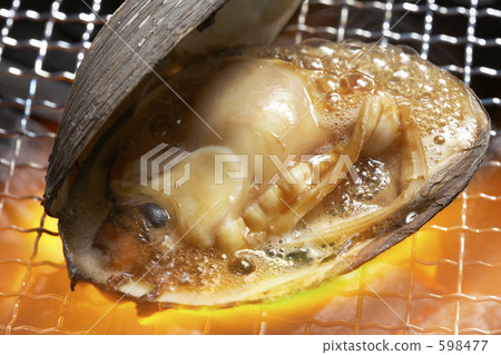 Charcoal Grill 598477