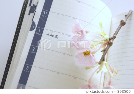 筆記本和櫻桃樹 598500