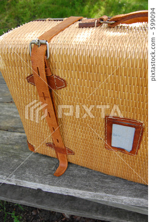 boston backdrop, bag, overnight bag 599094