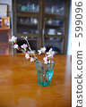 cut flowers, yoshino cherry tree, cherry blossom 599096