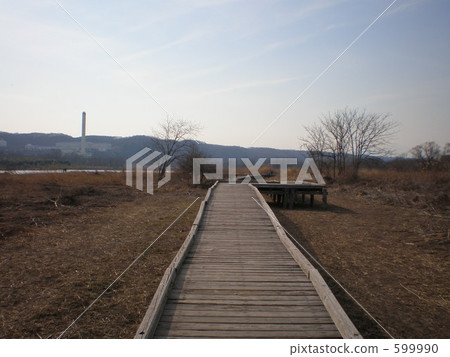 Winter riverside 599990