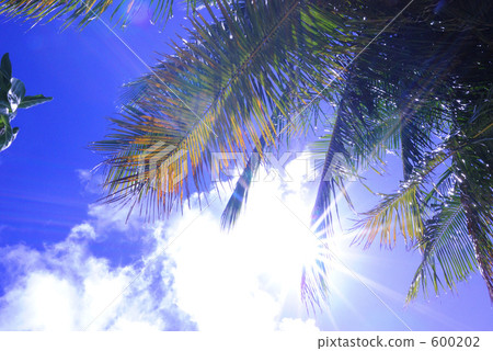 truk atoll, jeep island, southern countries 600202