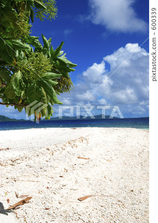 desert island, uninhabited island, truk atoll 600339