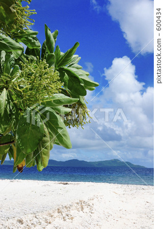 desert island, uninhabited island, truk atoll 600434