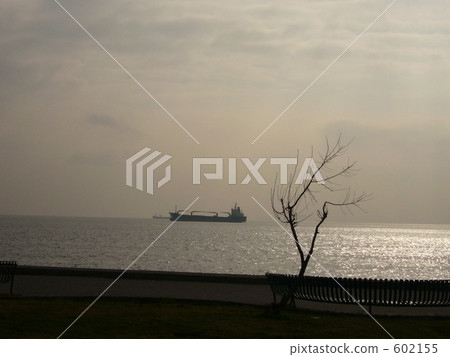 Istanbul · Ship and one tree Istanbul · Ship and one tree 602155