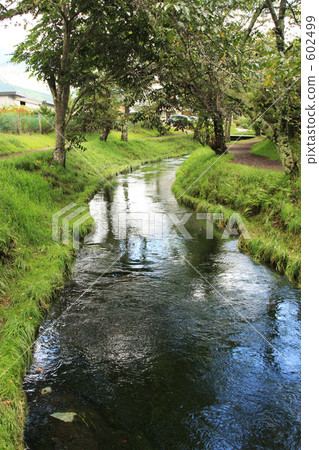 stream stream 602499