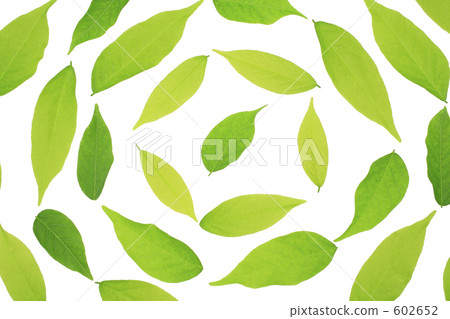 Leaf emoticon Leaf emoticon 602652
