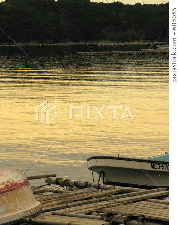 Shaki Ise Shima 603085