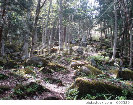 山神 山神 603529