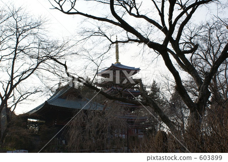 大陸寺廟五層寶塔 603899