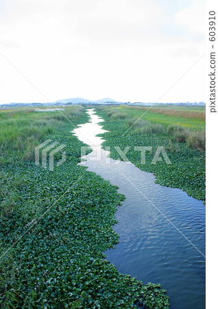 River 603910