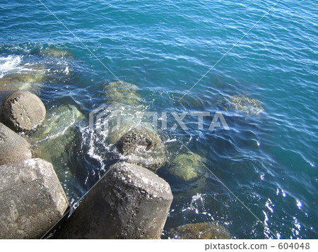 波浪洗四足動物 604048