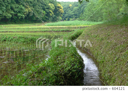 Yatsuda（小川）的風景 604121