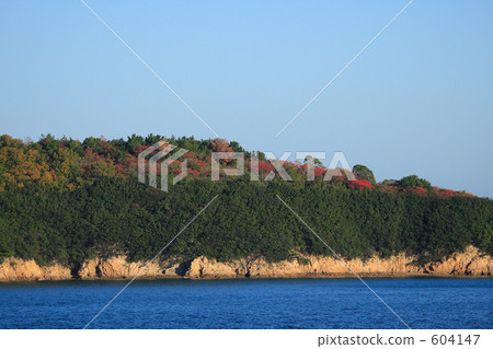 秋天的樹葉 秋天的樹葉 604147