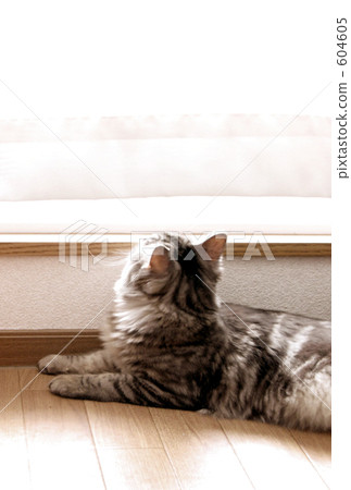 風聲......？ 604605