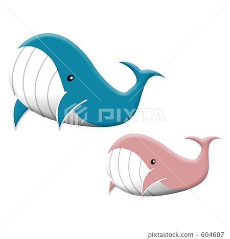 Material Photo Sale Photo Image Illustration Whale Summer 604607
