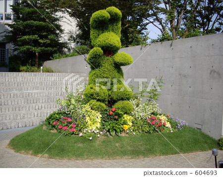 Green rabbit 604693