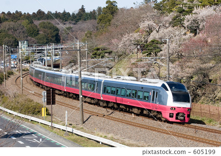Joban line Fresh Hitachi and Kairakuen plum 605199