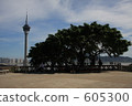 blue sky, day, daytime 605300