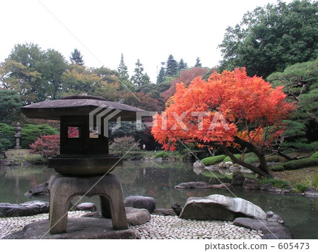 老Furukawa庭院秋葉和燈籠 605473