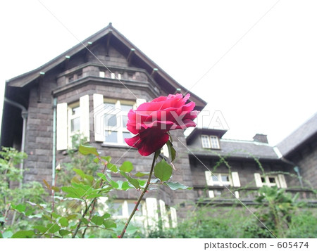 老Furukawa庭院羅斯唯一輪子 605474